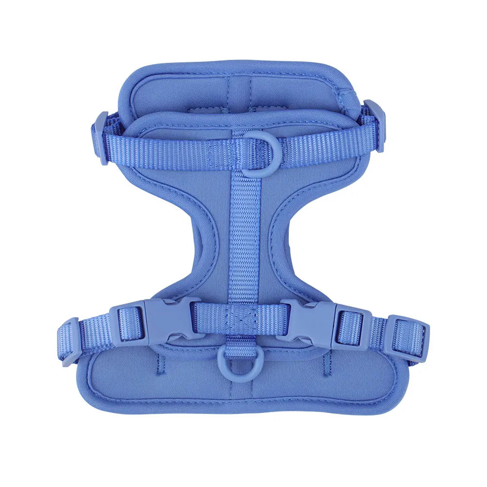 Breathable Lightweight Dog Harness Adjustable Pet Chest Strap Outdoor Walk Training Pet Harenss for Small Medium Dog