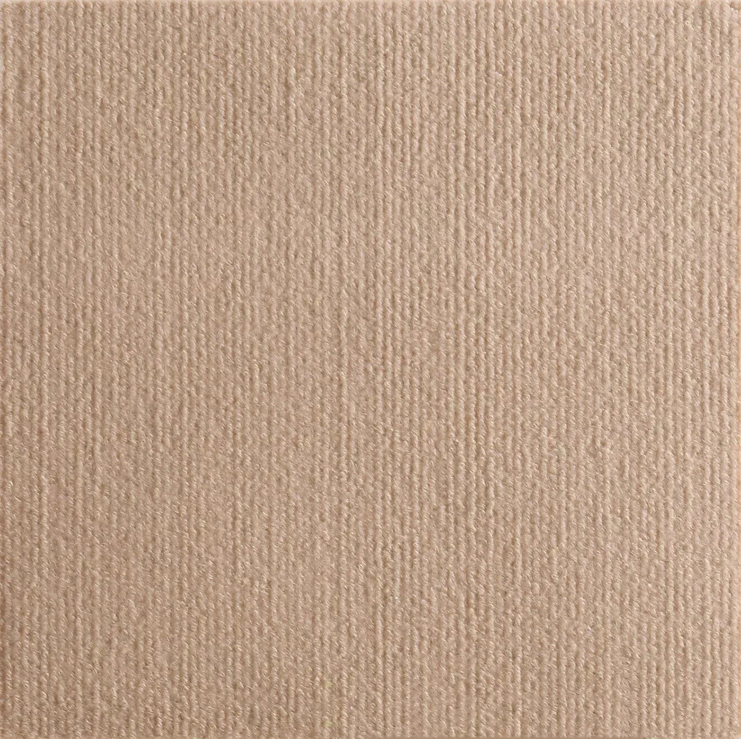 Trimmable DIY Cat Scratching Mat Self-Adhesive Anti Cat Scratch Carpet for Furniture Couch Corner Indoor Sofa Wall Protector