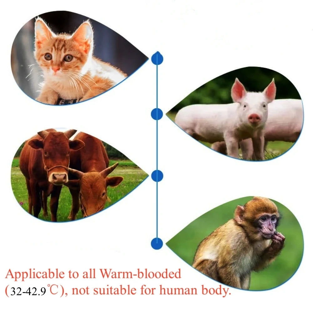 Infrared Pet Dog Cat Ear Thermometer Medical Animal Measuring Electronic Thermometer Non-contact Home Veterinary Equipment Quick