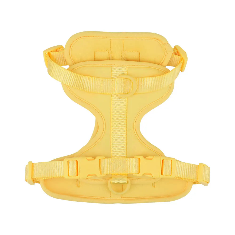 Breathable Lightweight Dog Harness Adjustable Pet Chest Strap Outdoor Walk Training Pet Harenss for Small Medium Dog